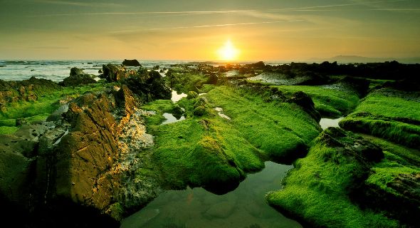 green-rocky-coast-on-sunset-natural-wallpapers-t